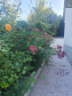 vente Maison Le Rouget