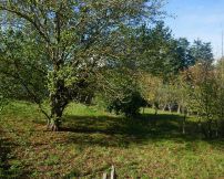A vendre Rodez 1200818928 Selection immobilier