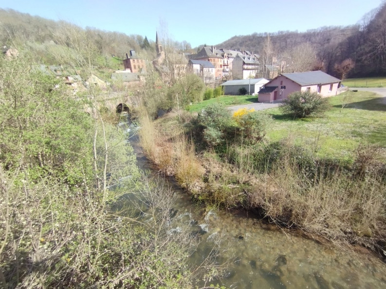 vente Maison en pierre Villecomtal - Photo 2