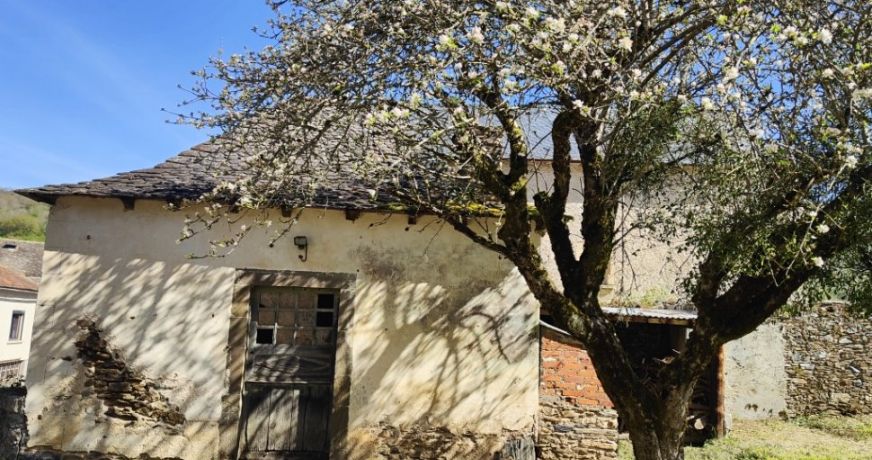 vente Maison de maître Previnquieres