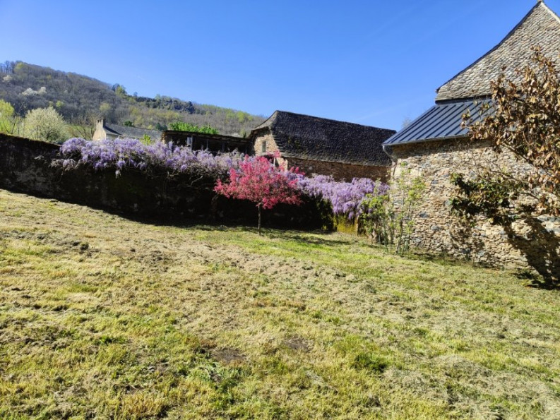 vente Maison de maître Previnquieres - Photo 5