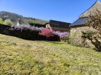 vente Maison de maître Previnquieres