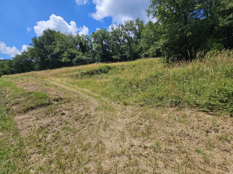 vente Terrain constructible Belcastel - Photo 3