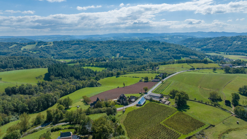 sale Maison à rénover Saint Cyprien Sur Dourdou - Photo 4