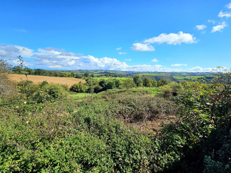 vente Propriété Previnquieres - Photo 7