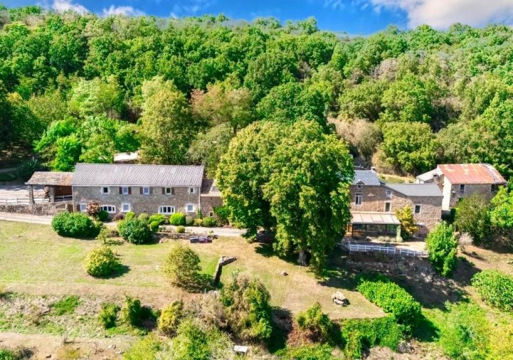 vente Mas Severac Le Chateau