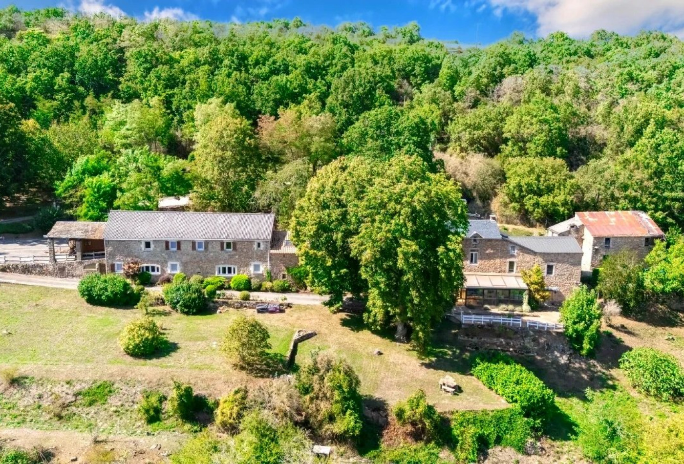 vente Mas Severac Le Chateau - Photo 3