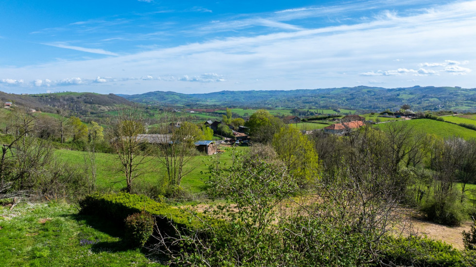 vente Maison de caractère Firmi - Photo 2
