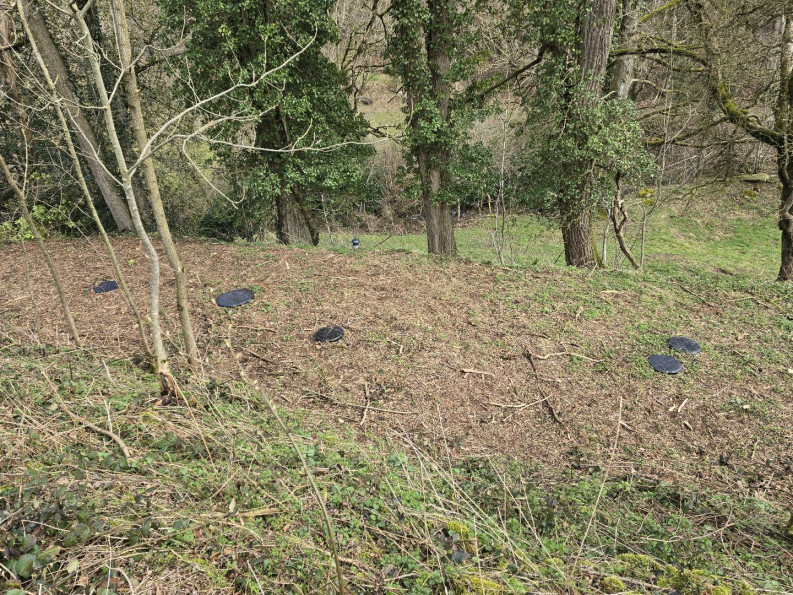 vente Maison à rénover Auriac Lagast - Photo 19