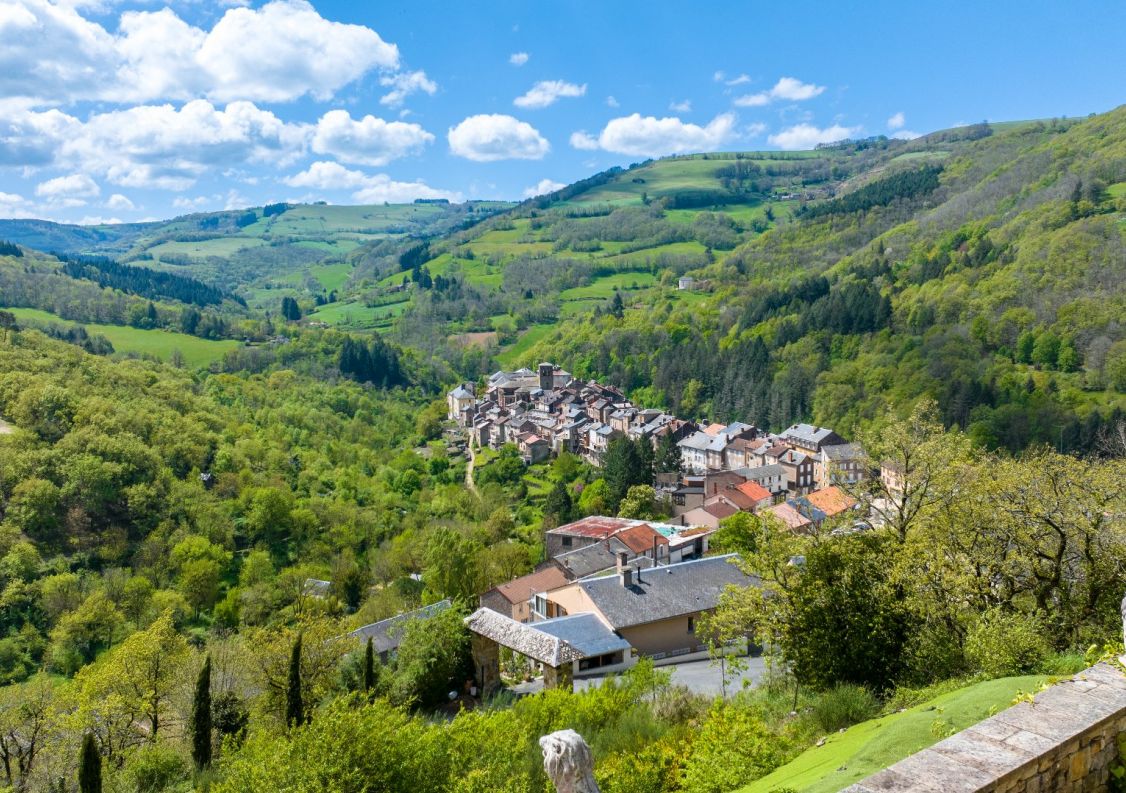 vente Demeure de ville et village Saint Sernin Sur Rance
