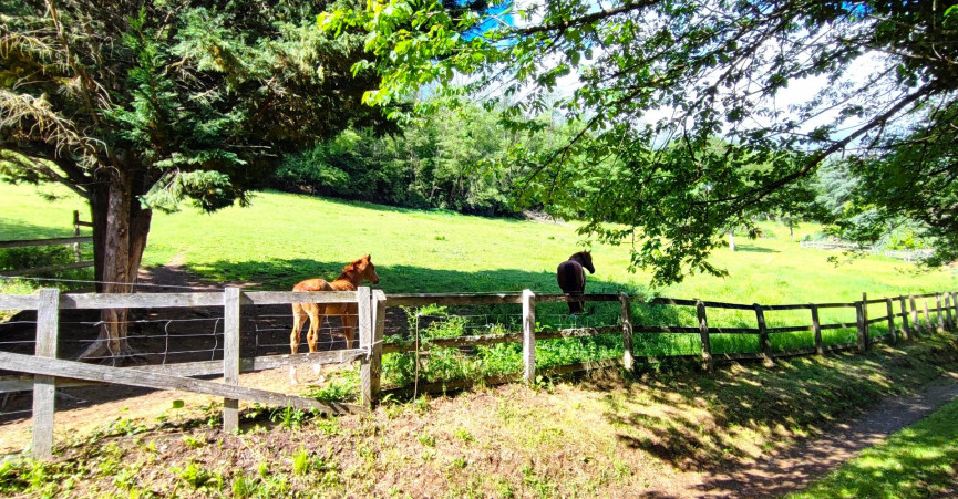 vente Maison Livinhac Le Haut - Photo 20