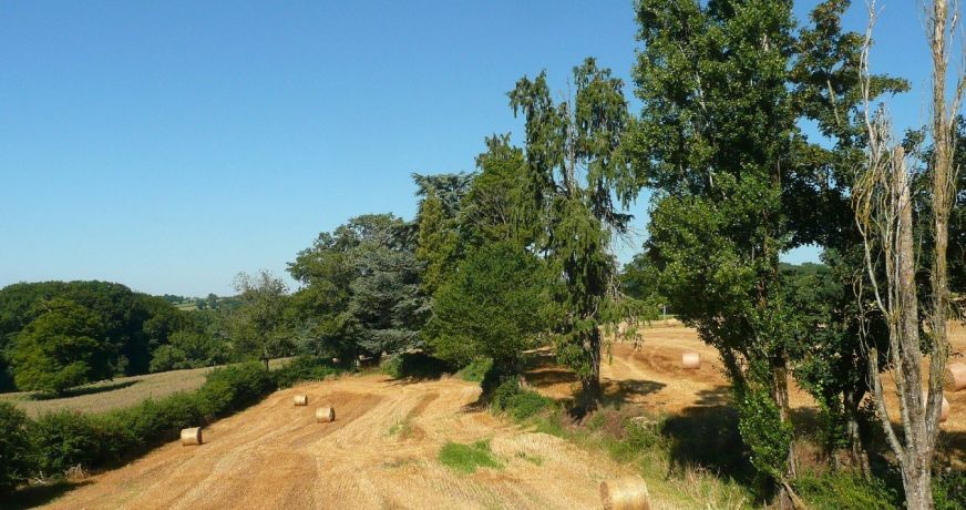 vente Maison et dépendances Baraqueville