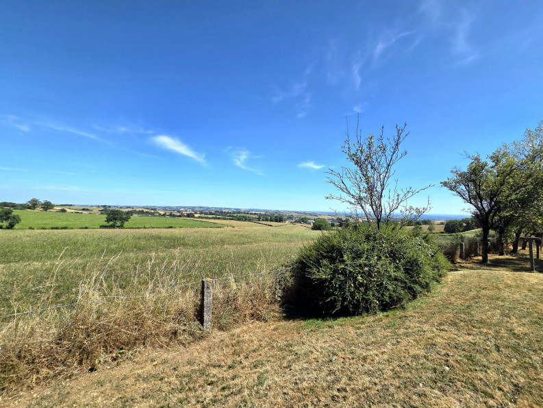 sale Maison Castanet - Photo 3