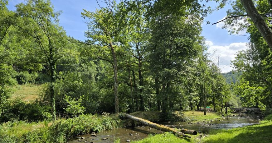 vente Moulin La Primaube
