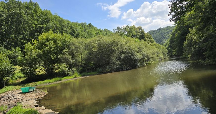 vente Moulin La Primaube