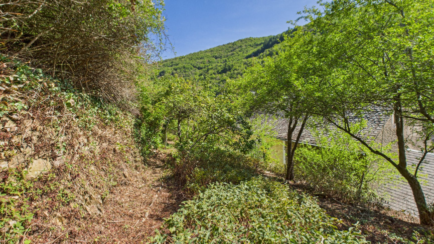 vente Maison de hameau Le Truel - Photo 19