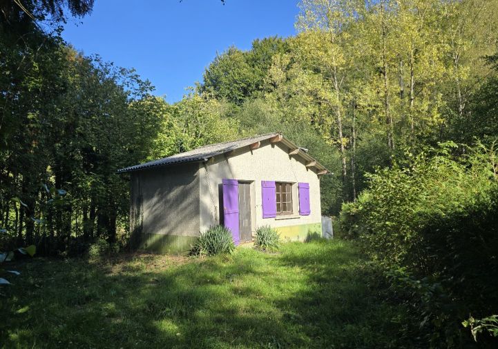 vente Maison de pêcheur Arvieu