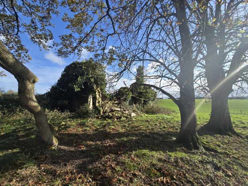 vente Corps de ferme Durenque - Photo 10