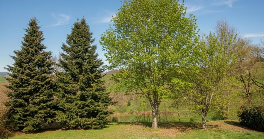 vente Maison de village Flagnac