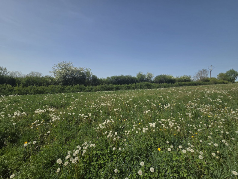 vente Maison Anglars Saint Felix - Photo 6
