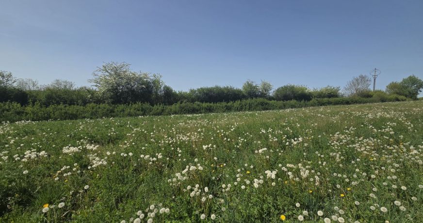 vente Maison Anglars Saint Felix