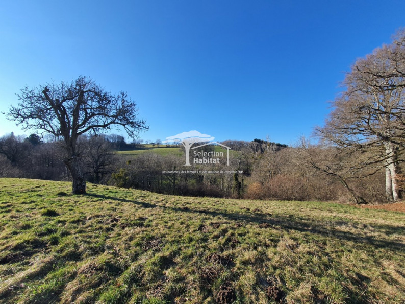 sale Maison en pierre Baraqueville - Photo 10