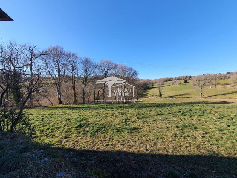 sale Maison en pierre Baraqueville - Photo 11