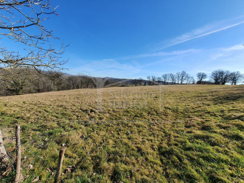 vente Ferme Saint Christophe Vallon - Photo 16