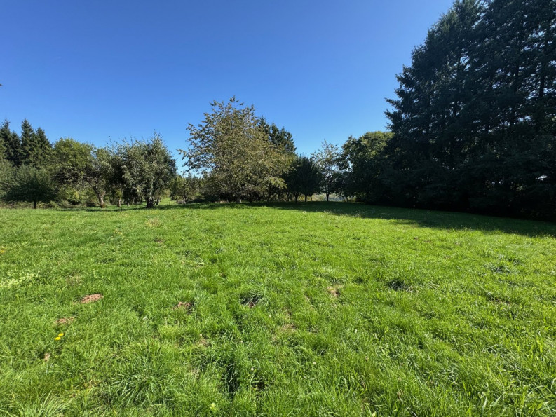 sale Corps de ferme Montsalvy - Photo 4