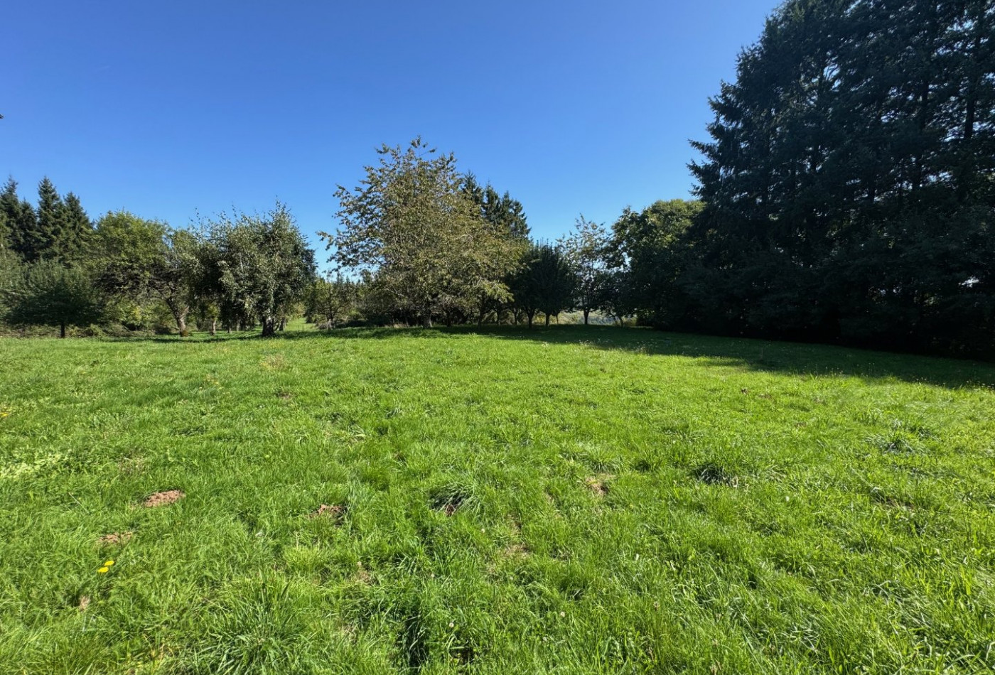 vente Corps de ferme Montsalvy - Photo 4