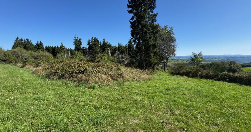 vente Corps de ferme Montsalvy