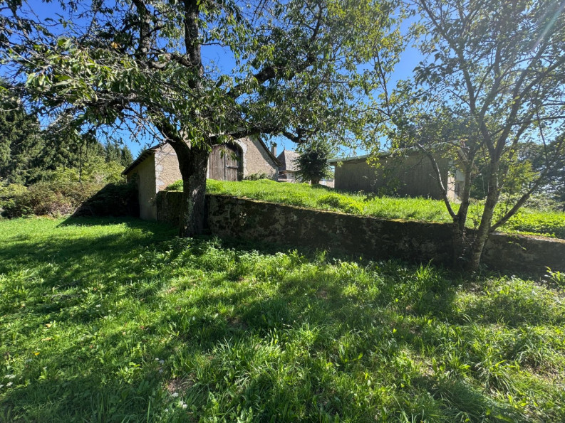 sale Corps de ferme Montsalvy - Photo 16