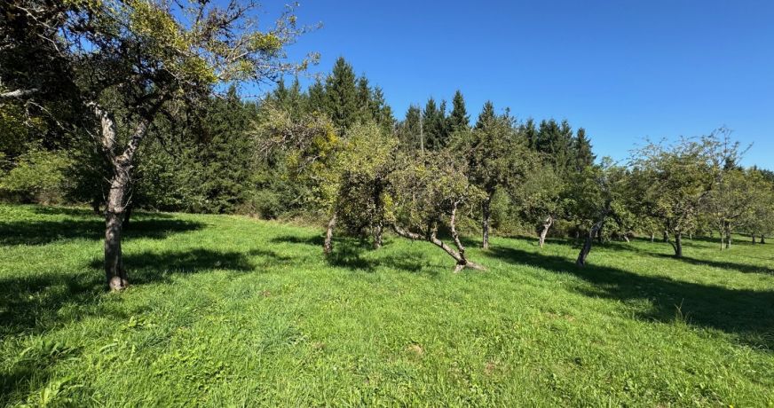 vente Corps de ferme Montsalvy