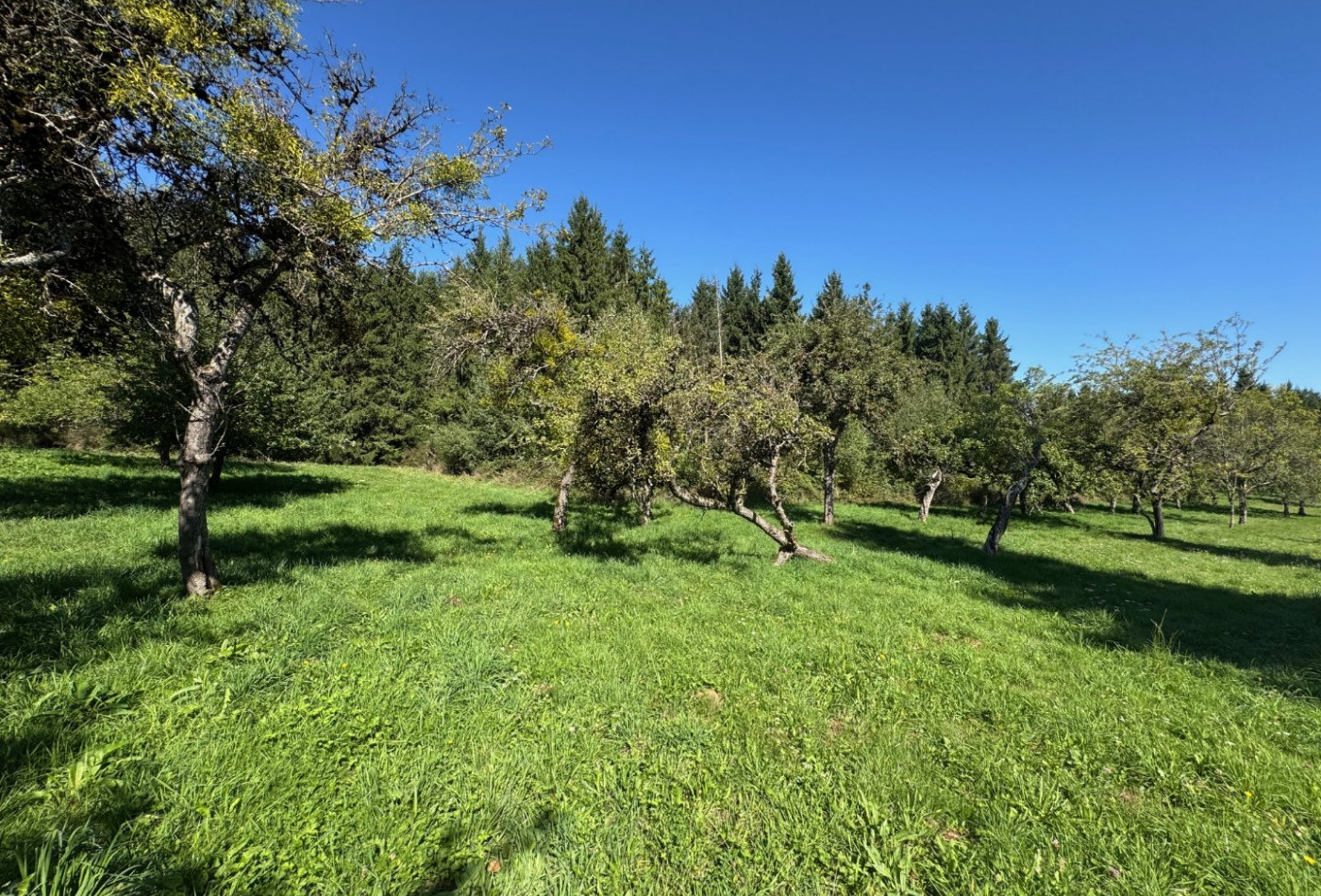 vente Corps de ferme Montsalvy - Photo 10