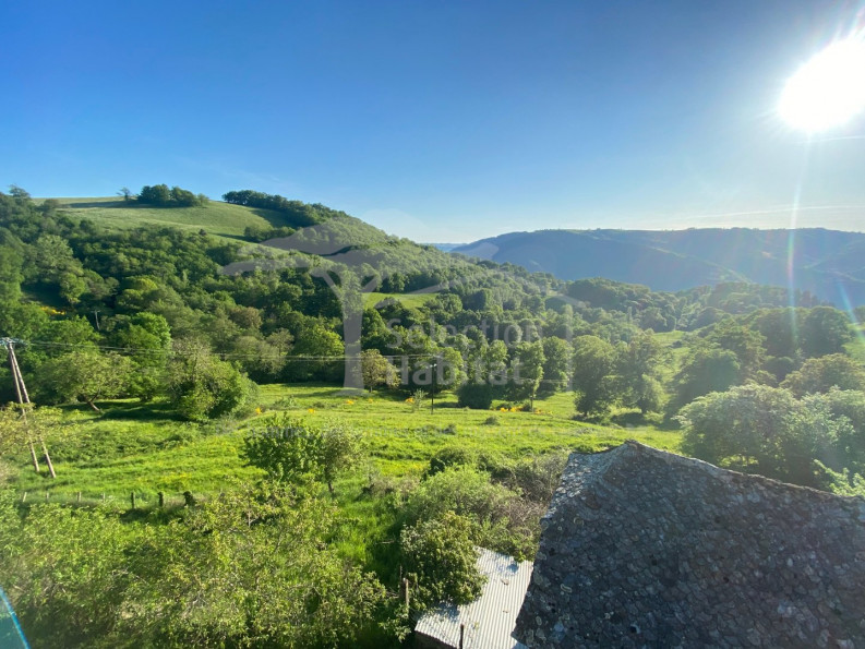 vente Corps de ferme Entraygues Sur Truyere - Photo 13