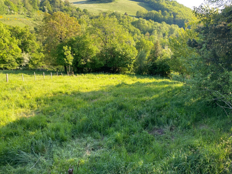 vente Corps de ferme Entraygues Sur Truyere - Photo 5
