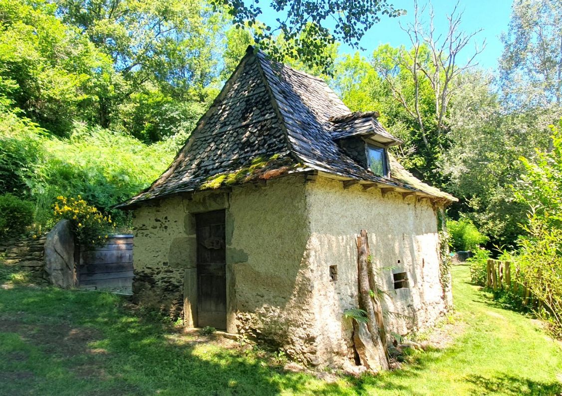 vente Moulin Rignac
