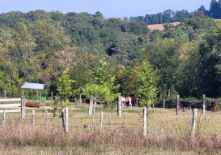 vente Terrain de loisir Saint Maime De Pereyrol