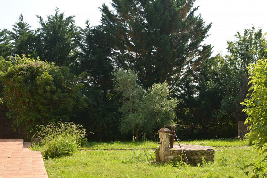 sale Maison de campagne Monsegur - Photo 3