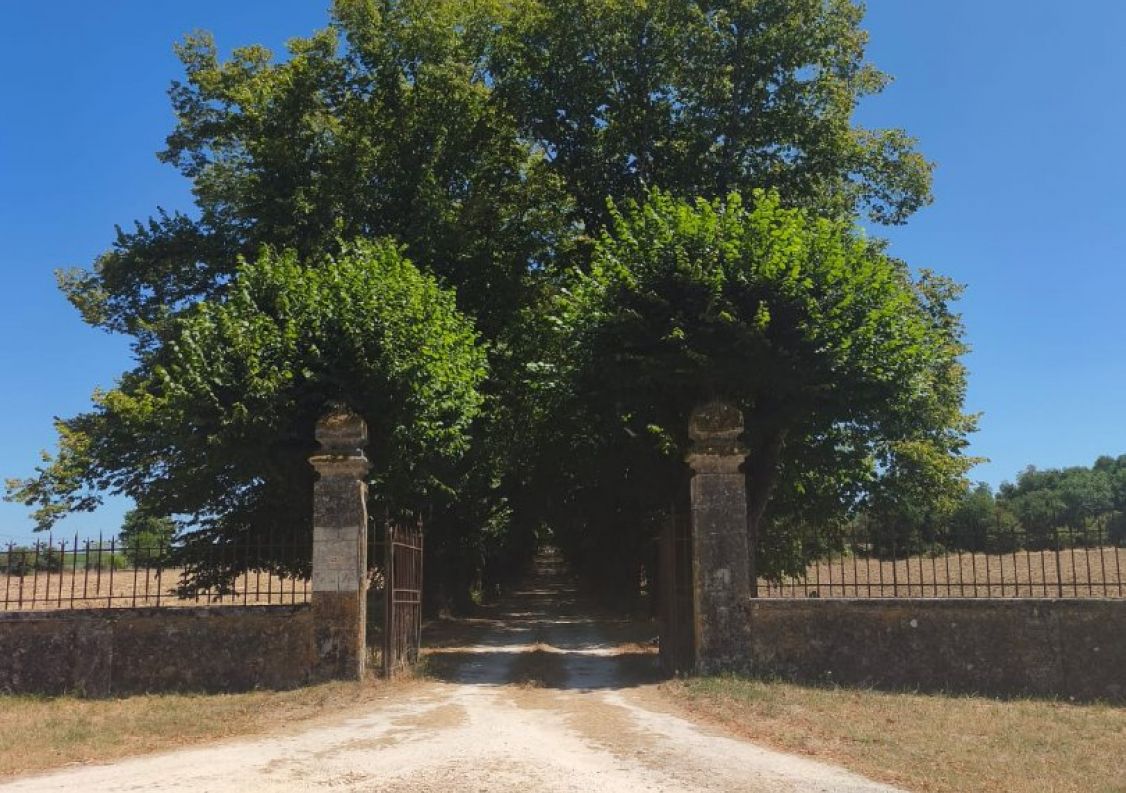 vente Château Champagnac De Belair