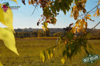 vente Terrain constructible Pellegrue