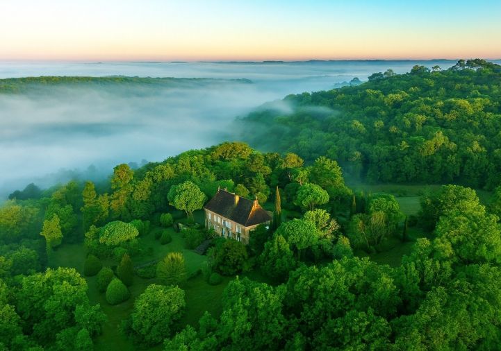 vente Château Paunat