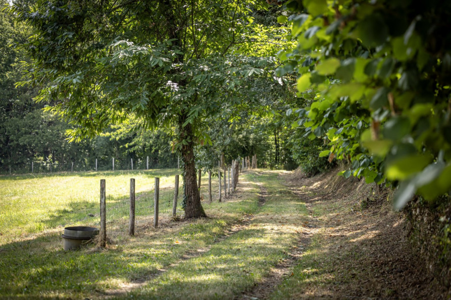 vente Corps de ferme Lalinde - Photo 10