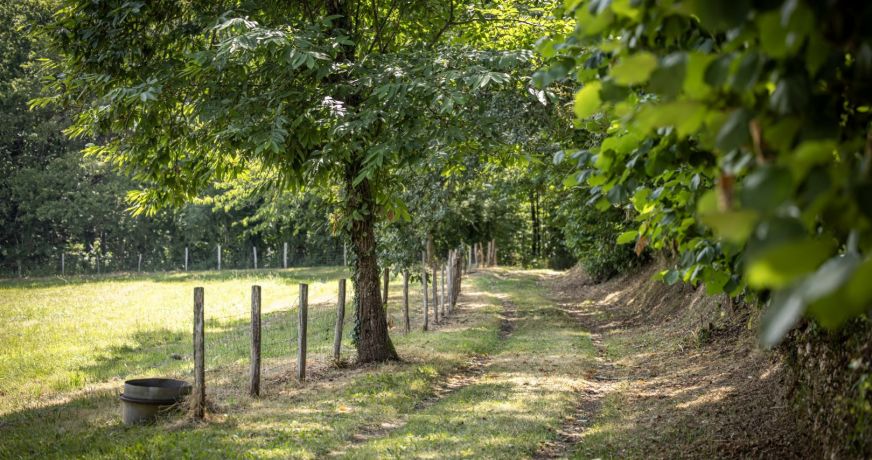 vente Maison Lalinde