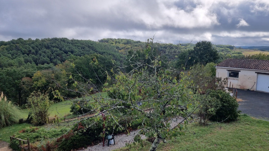 sale Maison Thenon - Photo 17