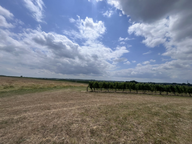 vente Maison à rénover Pellegrue - Photo 3