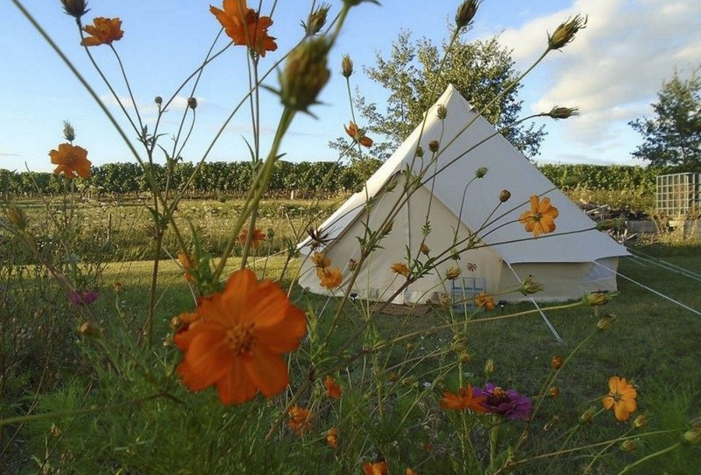 vente Propriété Bergerac - Photo 3
