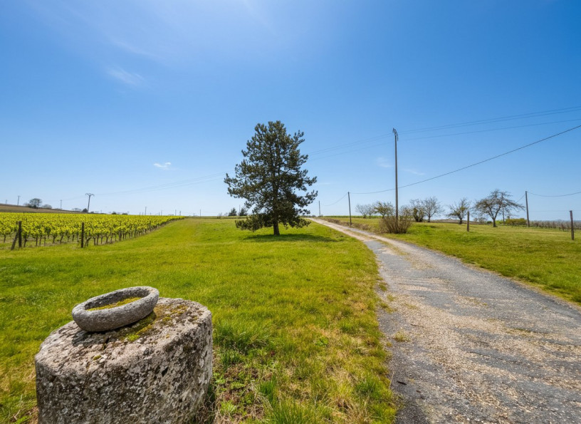 vente Maison de campagne Pellegrue - Photo 2
