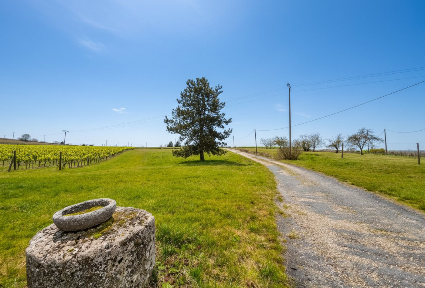 vente Maison de campagne Pellegrue - Photo 3