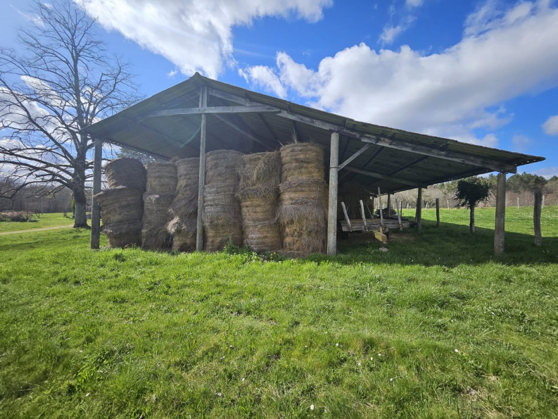 vente Corps de ferme Saint Geyrac - Photo 18